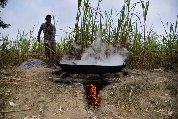Health Benefits 2 of Vedik Root Organic Desi Gur | Saharanpur Famous Jaggery | Natural Unrefined Sweetener | Rich in Iron | Improves Digestion | Boosts Immunity | Detoxifies Body